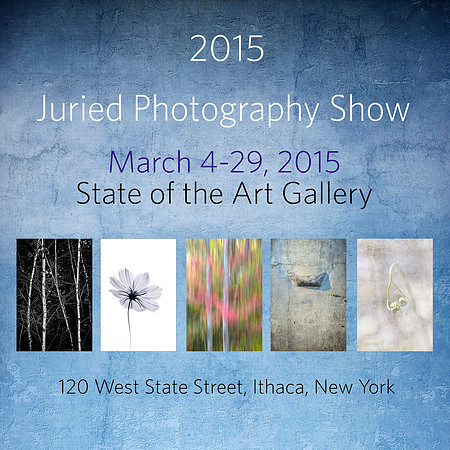 State of the Art Gallery, Ithaca 2015