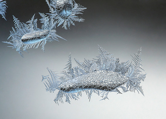 Ice Drops and Frost Feathers-3