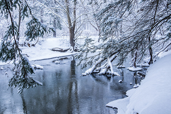 Ellison Park