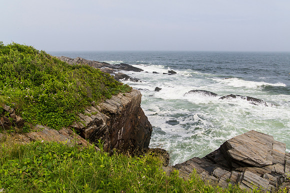 views from the Prout's Neck trail