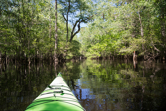 Kayaking on the Echaw Creek