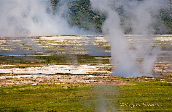 the steaming earth at Midway Geyser Basin