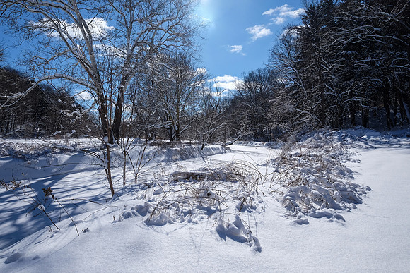Ellison Park