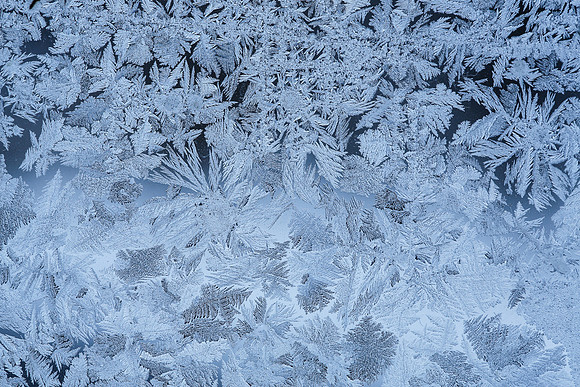 11 degrees, Jan. 4, 2016