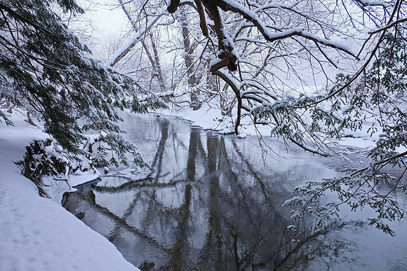 Ellison Park
