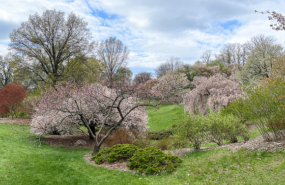 Highland Park, Rochester