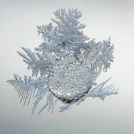 Ice Drops and Frost Feathers-2