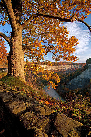 Letchworth State Park