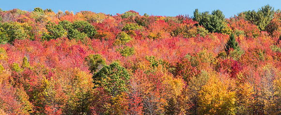 between Margaretville & Andes, NY