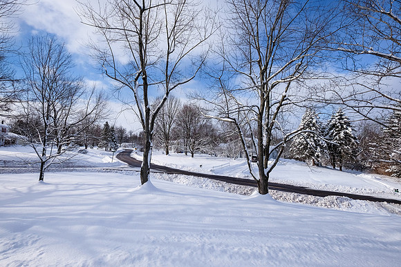 Farmview Winter