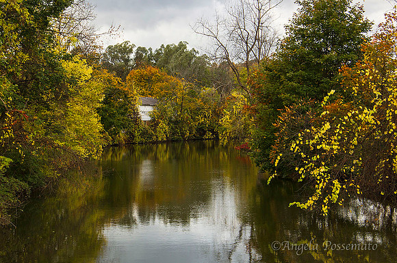looking off the canal bridge in Macedon