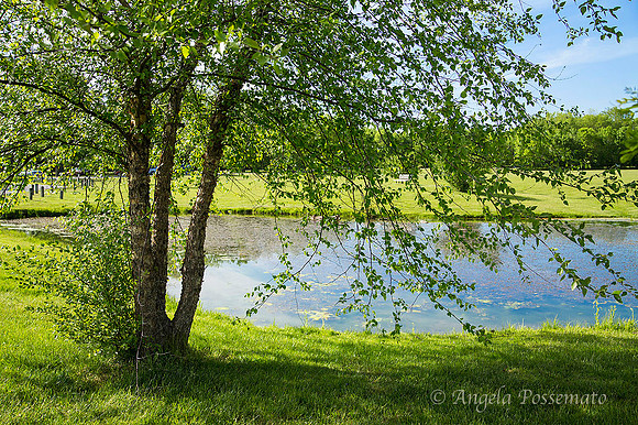 Hemlock Lake Park