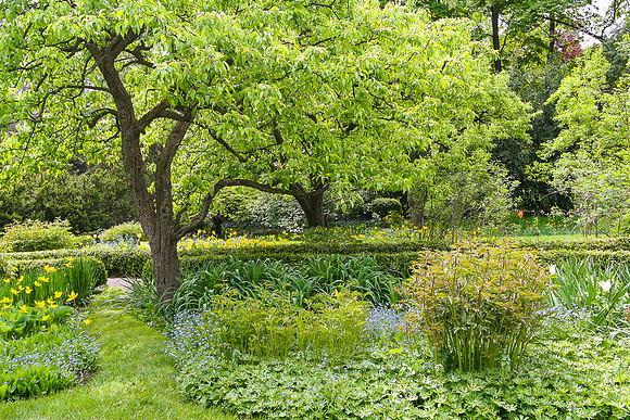 Secret Garden #1