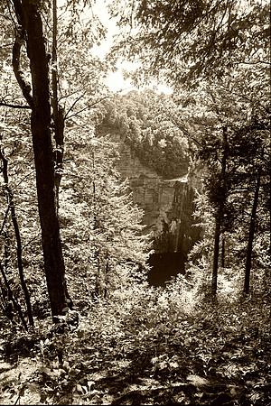 sepia toned from B&W print
