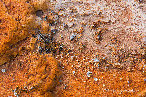algae mat growing on the run-off of one of the geysers.