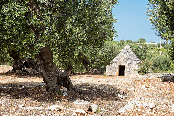 Near Alberbello
