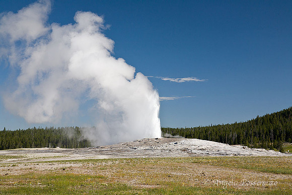 Advice from a Geyser