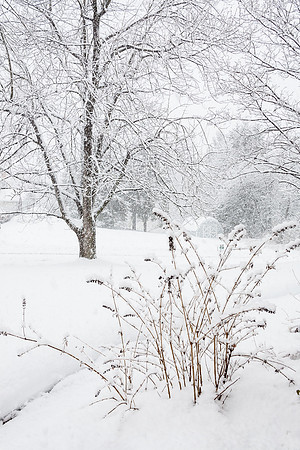 Snow Day