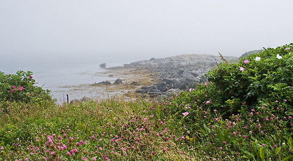 Cape Forchu