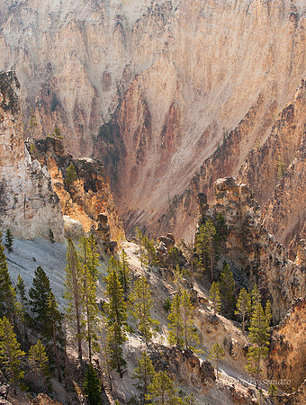 Colorful canyon walls