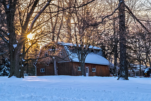 Sunrise on Farmview