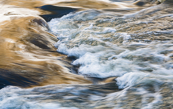 Waves of Gold 2