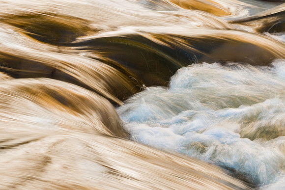 Waves of Gold 4