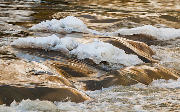 Waves of Gold 3