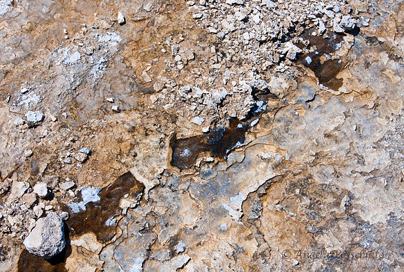 natural patterns 1
