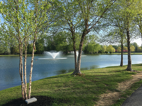 The Crossings, Albany, NY