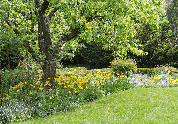 Secret Garden #2