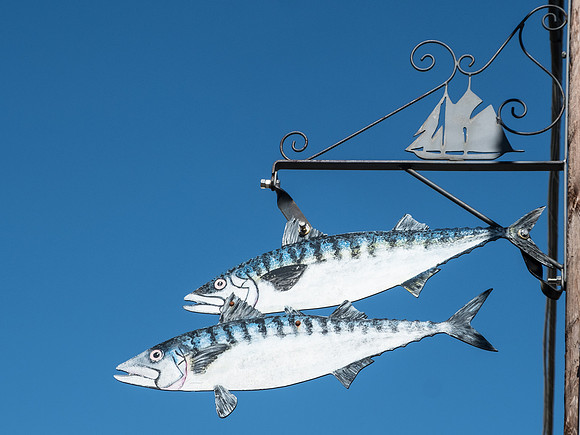 One of many fish signs in Lunenburg, NS