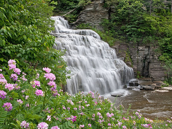 Hector Falls near Watkins Glen, NY