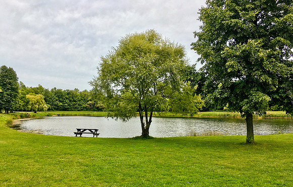 North ponds Park