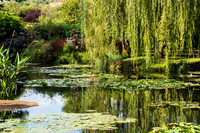 Water garden at Giverny