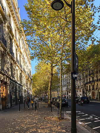 Blvd St. Germain