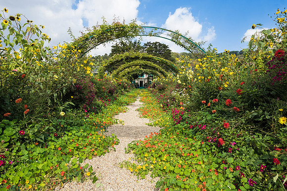 Monet's Garden at Giverny