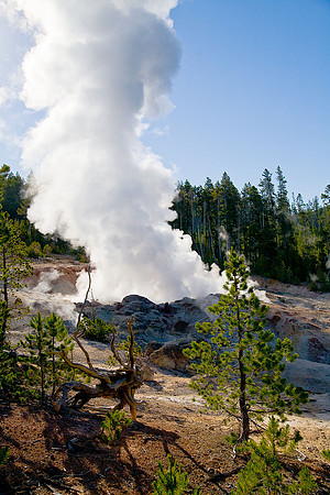 Steamboat Geyser at Yellowstone