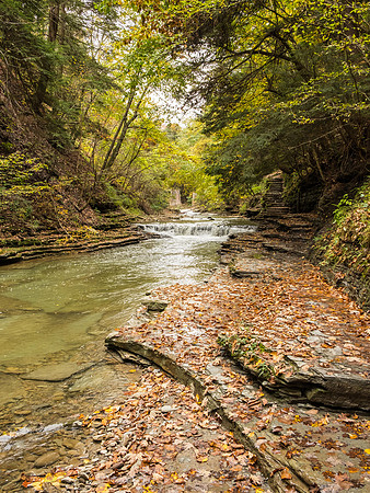 Stony Brook State Park