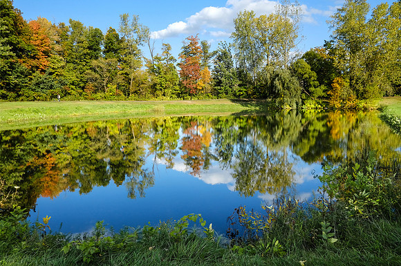 North Ponds Park