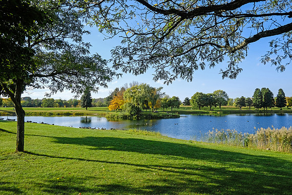 North Ponds Park