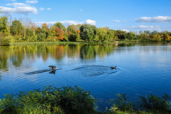 North Ponds Park