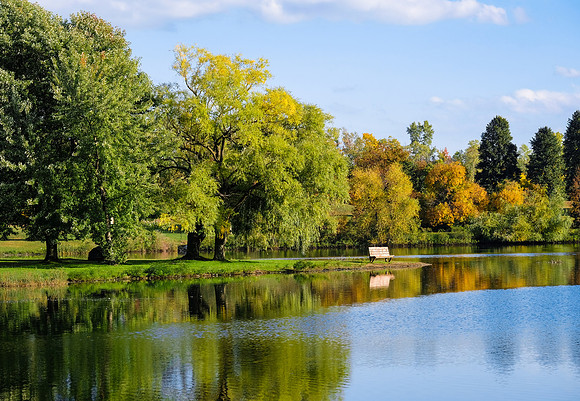 North Ponds Park