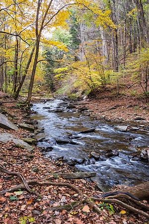 Grimes Glen