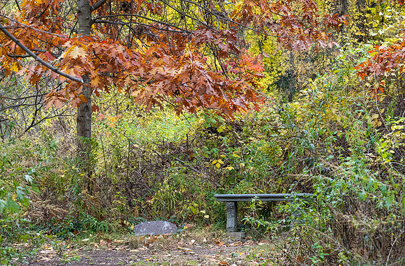 Corbett's Glen, Penfield, NY