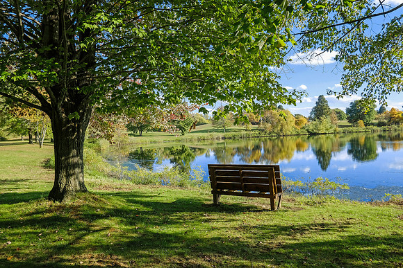 North Ponds Park