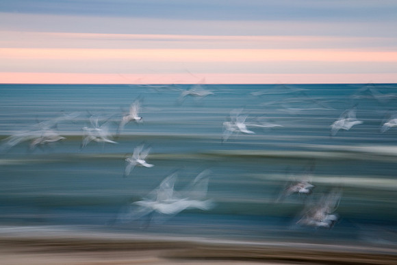 Flight