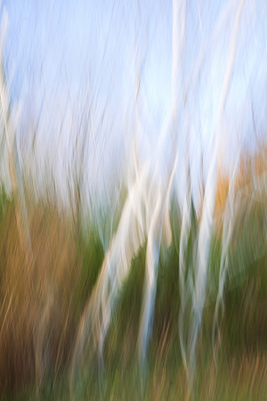 Spirit Dance