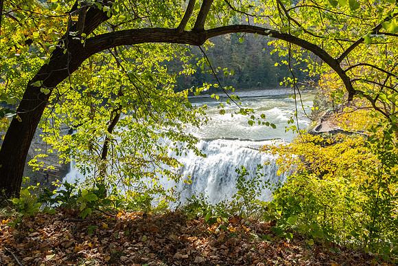 Letchworth State Park