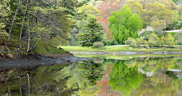 Spring Lakescape